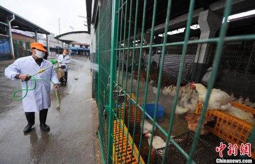 全国18例人感染H7N9禽流感确诊病例 6人死亡