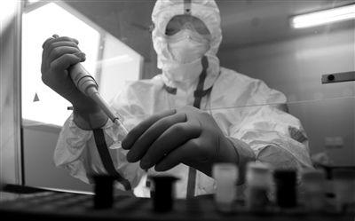 专家称H7N9禽流感为基因重配的新病毒