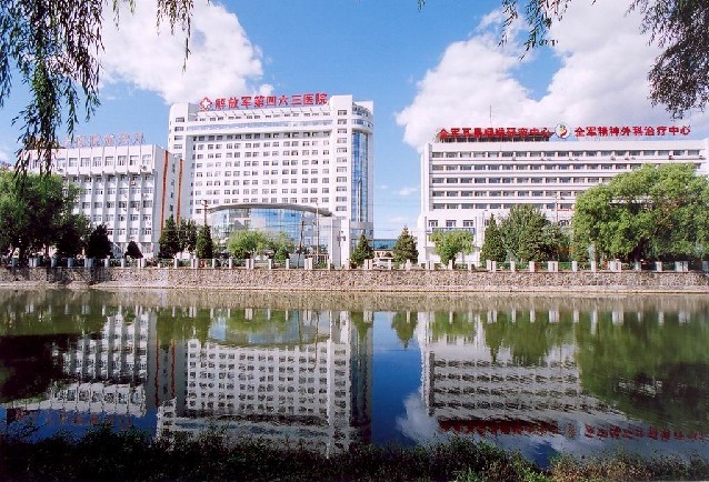 中国人民解放军第463医院