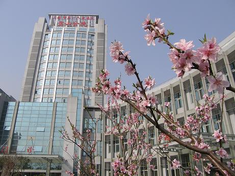 上海市第一人民医院宝山分院